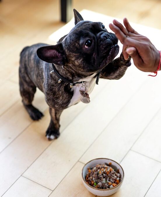 Natural Organic Dog Food